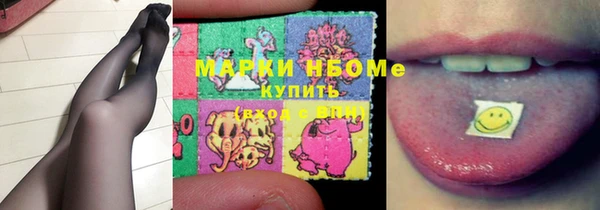 гашик Инсар