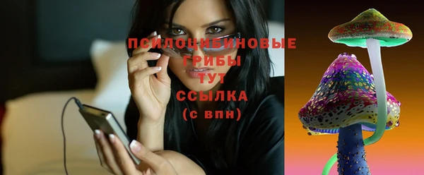 герыч Инта
