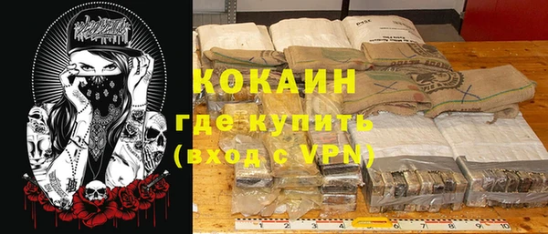 гашик Инсар
