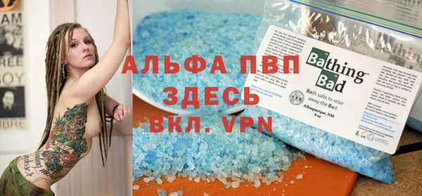 гашик Инсар