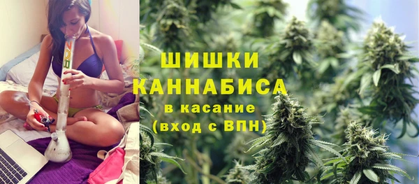 гашик Инсар