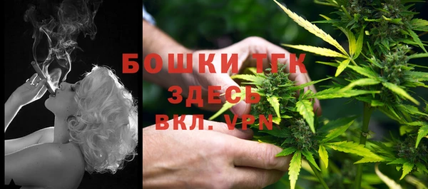 гашик Инсар