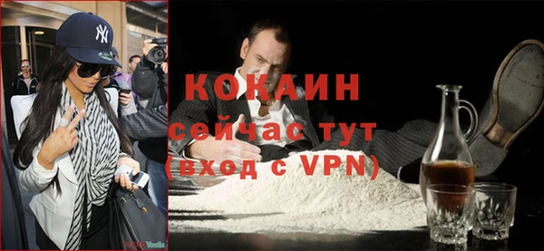 гашик Инсар