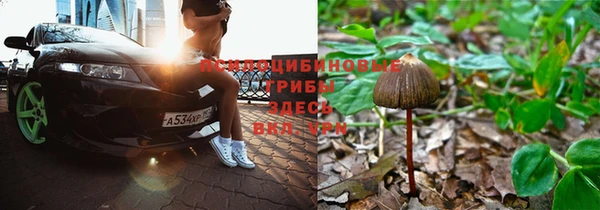 герыч Инта