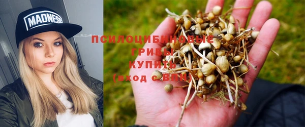 гашик Инсар