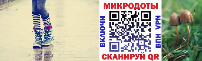 Купить где  Углегорск  Псилоцибиновые грибы мицелий 